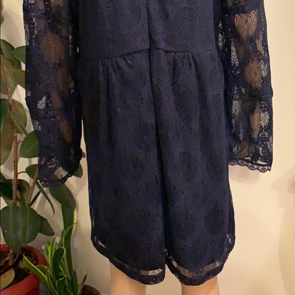 Beautiful Lace Overlay Dress - Picture 7 of 8